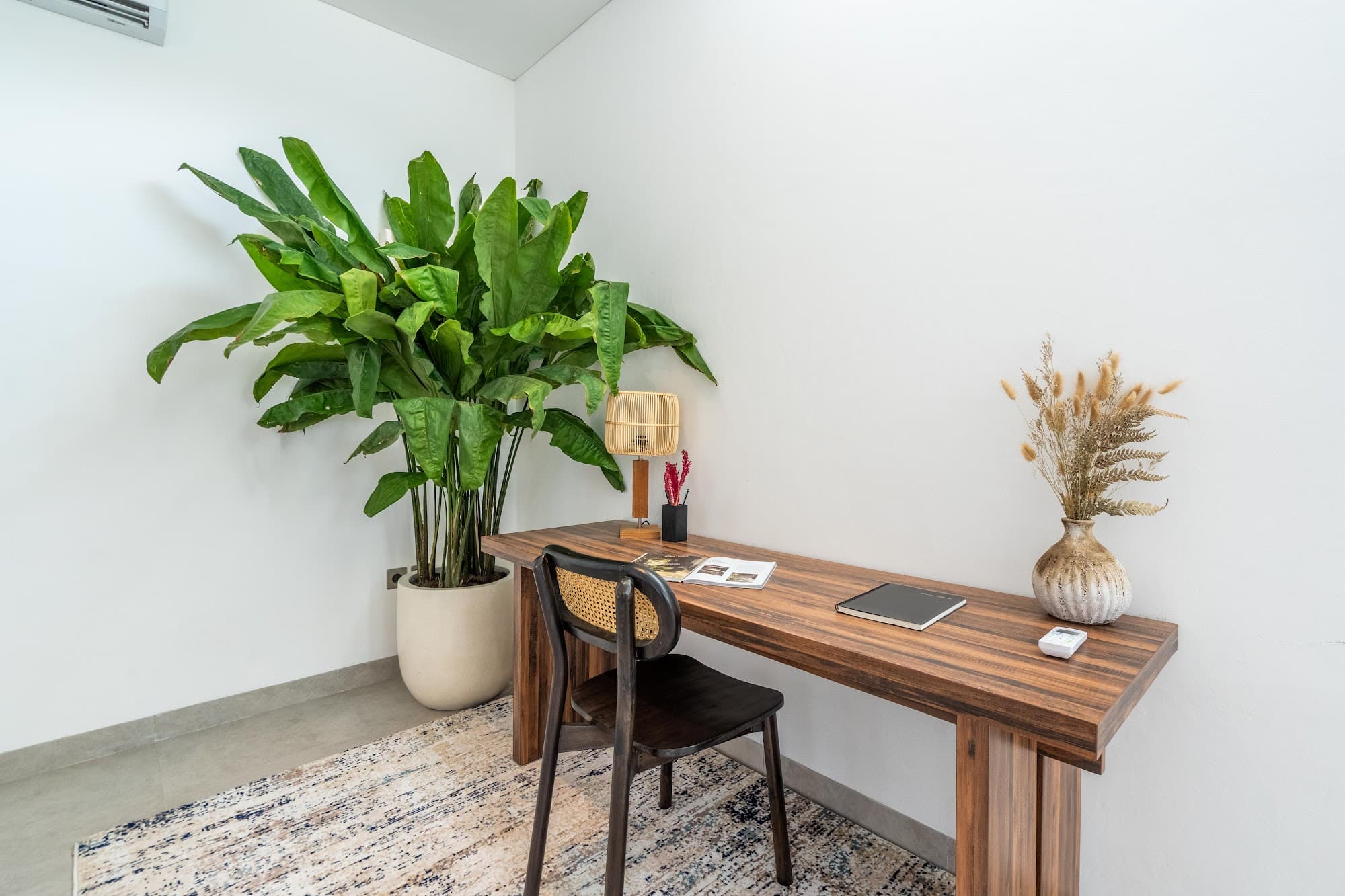 Villa Rice One — photo 31